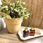 Casa Checca E Casa Maria Per Vacanze * カプラローラ